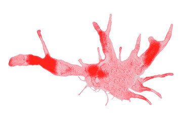 Red splash stains on transparent background