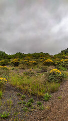 Beautiful mountains in the mountains of Minas Gerais, Brazil. The name is Serra da Calcada and it is next to the city of Belo Horizonte