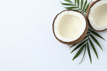Coconut on white background, top view