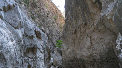 Deepest narrow stone canyon Saklikent in national park in Mugla Province in southwestern Turkey. Wild natural beauty