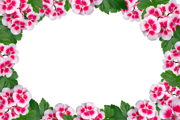 Red and white flower frame