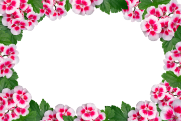Red and white flower frame