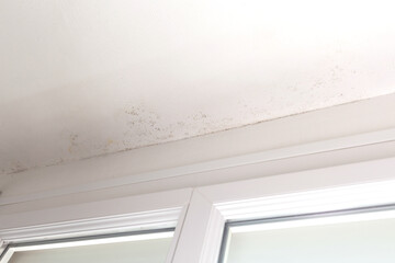 Ceiling near window frame with visible mold spots and moisture damage on white textured surface....