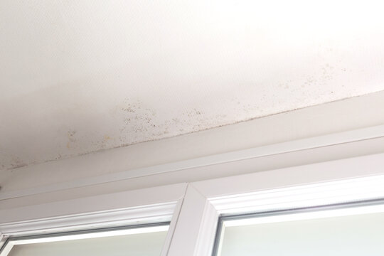 Ceiling near window frame with visible mold spots and moisture damage on white textured surface. Indoor mold problem and air quality issue concept for awareness and prevention design.