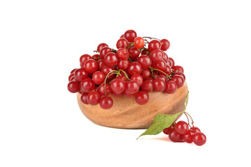 Viburnum berries in a wooden bowl and on a white background.
