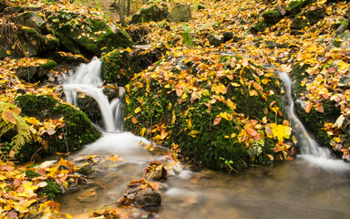 A forest stream with a waterfall in autumn, surrounded by vibrant colorful leaves.
