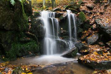 Obraz premium A forest stream with a waterfall in autumn, surrounded by vibrant colorful leaves.