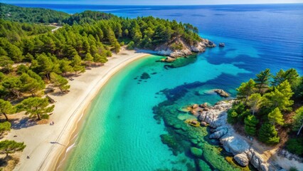 Aerial view of beautiful Kavourotripes beach in Halkidiki, Greece with turquoise water, sandy beach, and pine trees, Greece
