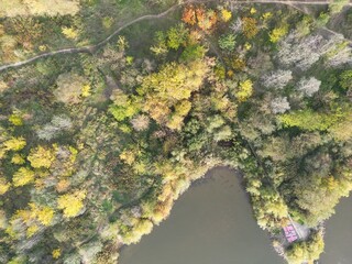 Autumn landscape from a bird’s eye view lake, trees, and a path in the forest