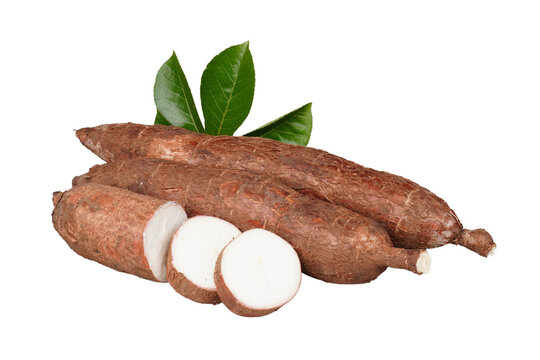 Cuts of cassava tubers and their leaves isolated transparent
