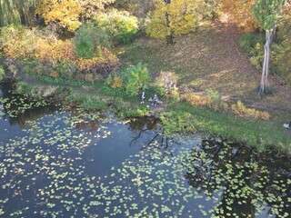 Autumn Landscape with Water Body, Lily Pads, and People in Nature Amidst Deciduous Trees