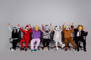 Full size photo of zebra gorilla raccoon lion panda sloth rooster mask people sit chairs hold hands...