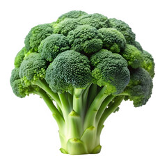 Broccoli on transparent background