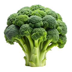 Broccoli on transparent background