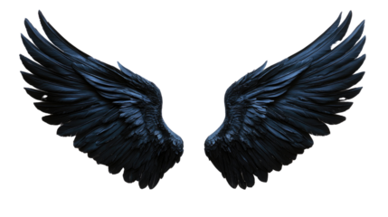 pair of black wings isolated on white background