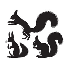Set of squirrel silhouette on white background