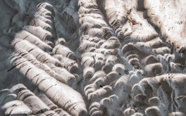 Moonlike shadows of palm leaves on the beach sand.