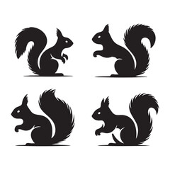 Obraz premium Set of squirrel silhouette on white background
