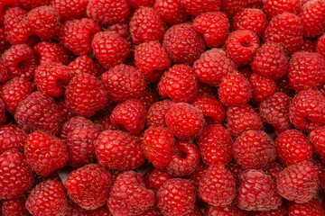 Tasty fresh raspberry as a background.