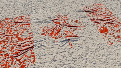 Canadian flag graphic representation over snow