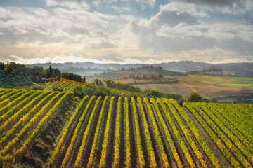 Vineyards landscape in Castellina in Chianti, Tuscany, Italy