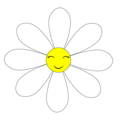 daisy flower isolated on white background