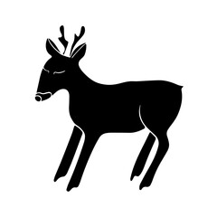 A roe deer silhouette stands elegantly, highlighting its graceful form in the fading light