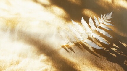 White fern leaf casting shadow design element on a golden backdrop illuminated by sunlight featuring ample copy space