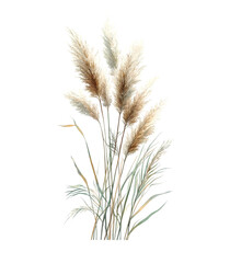 Golden wheat sways in the summer breeze, a picturesque scene of rural agriculture