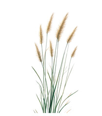 Golden wheat stalks sway in the summer breeze, a symbol of agriculture and nature's bounty