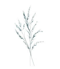 Silhouette of a graceful grass plant, isolated on a white background, perfect for floral design and nature-inspired illustrations