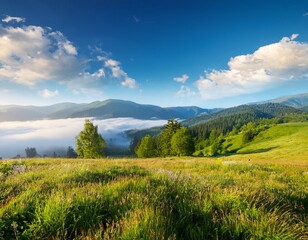 Obraz premium Amazing landscape of rural terrain with green pasture, lonely tree and dramatic sky.