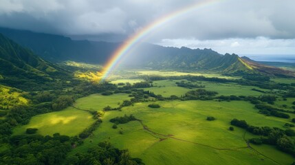 Obraz premium Vibrant Rainbow over Lush Green Landscape