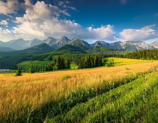 Dramatic sky looking at the High Tatras from Pass over Lapszanka. Lapszanka,