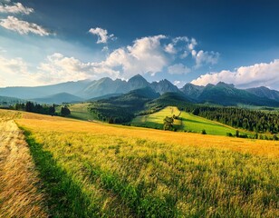 Dramatic sky looking at the High Tatras from Pass over Lapszanka. Lapszanka, © MdRakibul