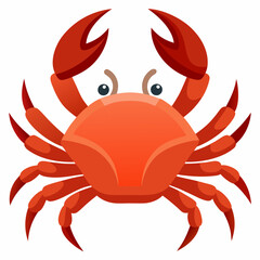 red crab on white background