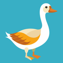 duck and ducklings