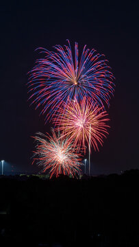 View of colorful fireworks exploding in the night sky over the city, New York, United States of America.