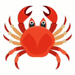 red crab on white background