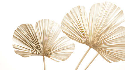 Minimalistic beige palm leaf wallpaper design