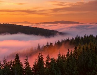 Obraz premium Evening landscape - silhouettes of fir trees on the background of bright sky and mountains