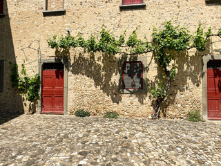 Grape vines on walls of Italian Castle