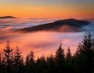 Obraz premium Evening landscape - silhouettes of fir trees on the background of bright sky and mountains