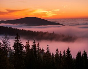 Fototapeta premium Evening landscape - silhouettes of fir trees on the background of bright sky and mountains