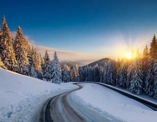 Aerial. Trees and snow in a winter forest. Nature background top view from drone.