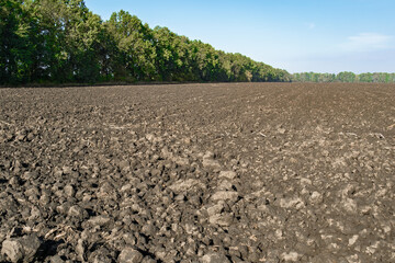 A fresh field with trees and the horizon in the background on a sunny day.