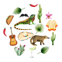 Round composition with mexican design elements - guitar, sombrero, flag, poncho, cactus, margarita, orchid, iguana, coati, washingtonia palm, tacos