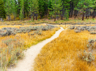 Fall Color on The Spooner Lake Hiking Trail, Spooner Lake State Park, Nevada, USA