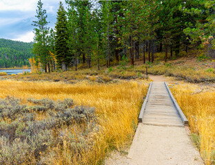 Fall Color on The Spooner Lake Hiking Trail, Spooner Lake State Park, Nevada, USA