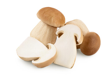 Fresh porcini cep mushroom isolated on white background with full depth of field